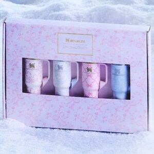 New Stanley 1913 x LoveShackFancy Holiday Quencher ProTour Ornament Set